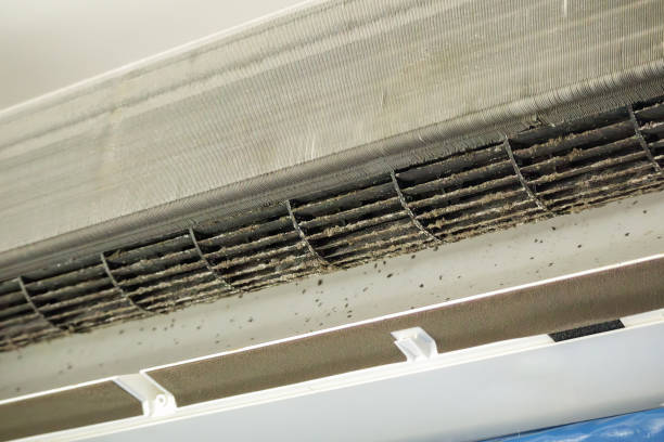 Best Home Air Vent Cleaning  in Alhambra, CA